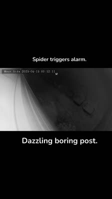 Dazzling boring post. Spider triggers alarm.