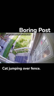 Cat jumping over fence. Boring Post